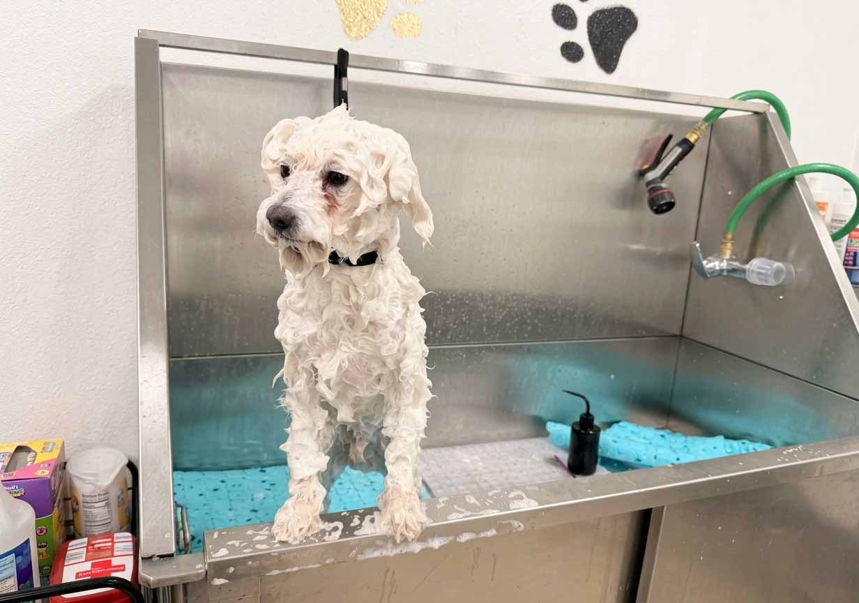 Full Bath Packages